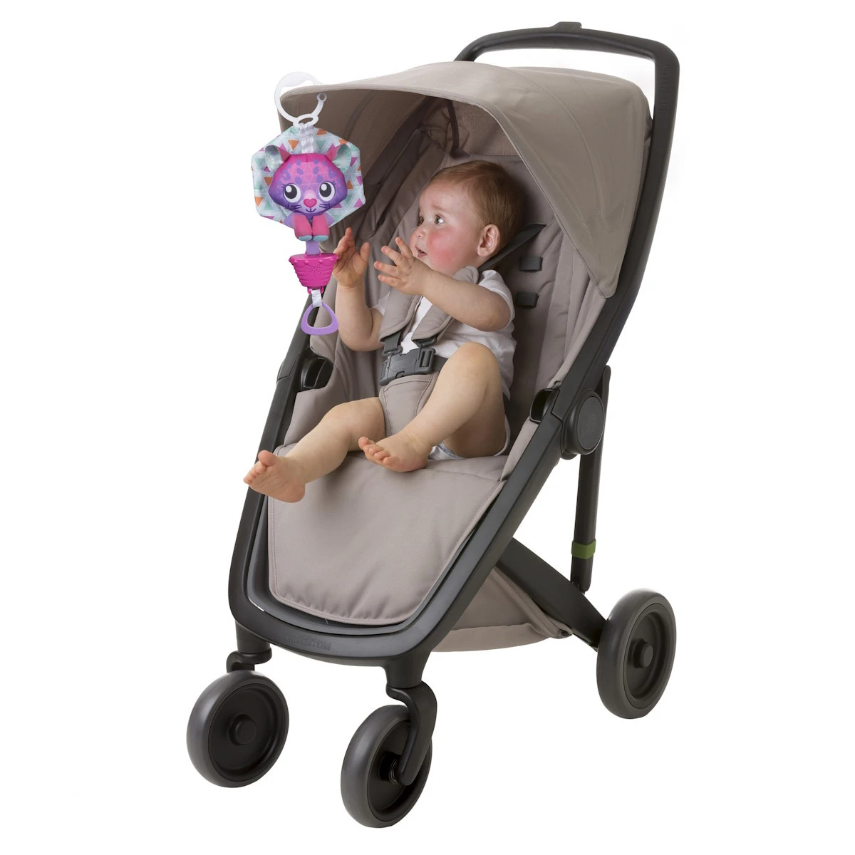 Playgro Musical Polar Pals Cat Muziekdoosje P0188321 6 Playgro Musical Polar Pals Cat Muziekdoosje P0188321 - Afbeelding 4