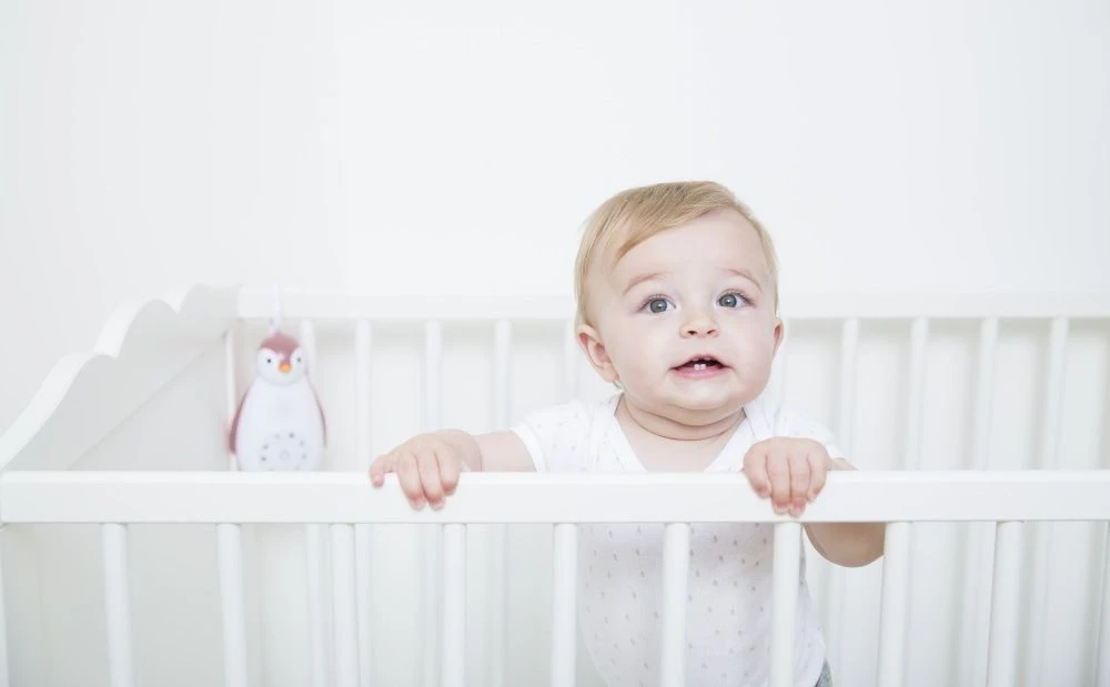 Zazu Zoe De Pinguin Blauw 3 In 1 Muziekdoosje ZA-ZOE-02 13 Zazu Zoe De Pinguin Blauw 3 In 1 Muziekdoosje ZA-ZOE-02 - Afbeelding 11