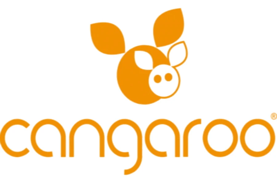 Cangaroo Polly Black 3-in-1 Combi Kinderwagen Incl. Autostoel 13 Cangaroo Polly Black 3-in-1 Combi Kinderwagen Incl. Autostoel - Afbeelding 11