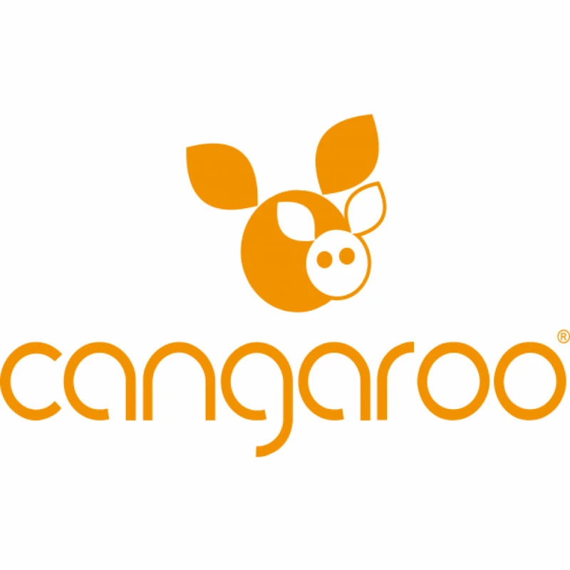 Cangaroo Iceberg Grey 15-36 Kg Booster BGN 23 6 Cangaroo Iceberg Grey 15-36 Kg Booster BGN 23 - Afbeelding 4