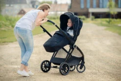 Ding Fenix Black/Black Kinderwagen DI-191701 -Baby Kinderwagen Serie Winkel ding fenix black kinderwagen 4