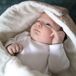 Babyjem Swaddle Zalm Voetenzak 428 -Baby Kinderwagen Serie Winkel img 0309