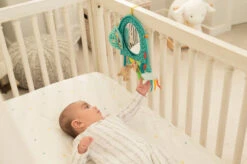 Infantino Elephant Autospiegel BK-316313 -Baby Kinderwagen Serie Winkel infantino elephant autospiegel bk 316313 2