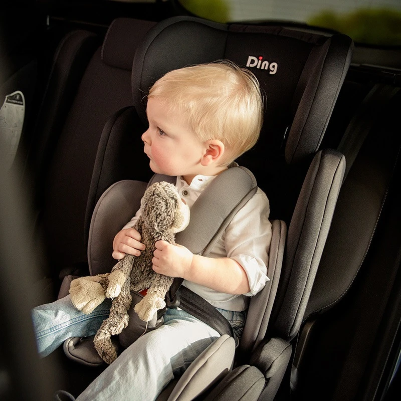 Ding Bas Roze Autostoel 9-36 Kg CS003 9 Ding Bas Roze Autostoel 9-36 Kg CS003 - Afbeelding 7