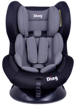 Ding Dano Zwart/Grijs Autostoel 0-18 Kg CS002 -Baby Kinderwagen Serie Winkel mamaloes ding dano zwart grijs autostoel 0 18 kg cs002